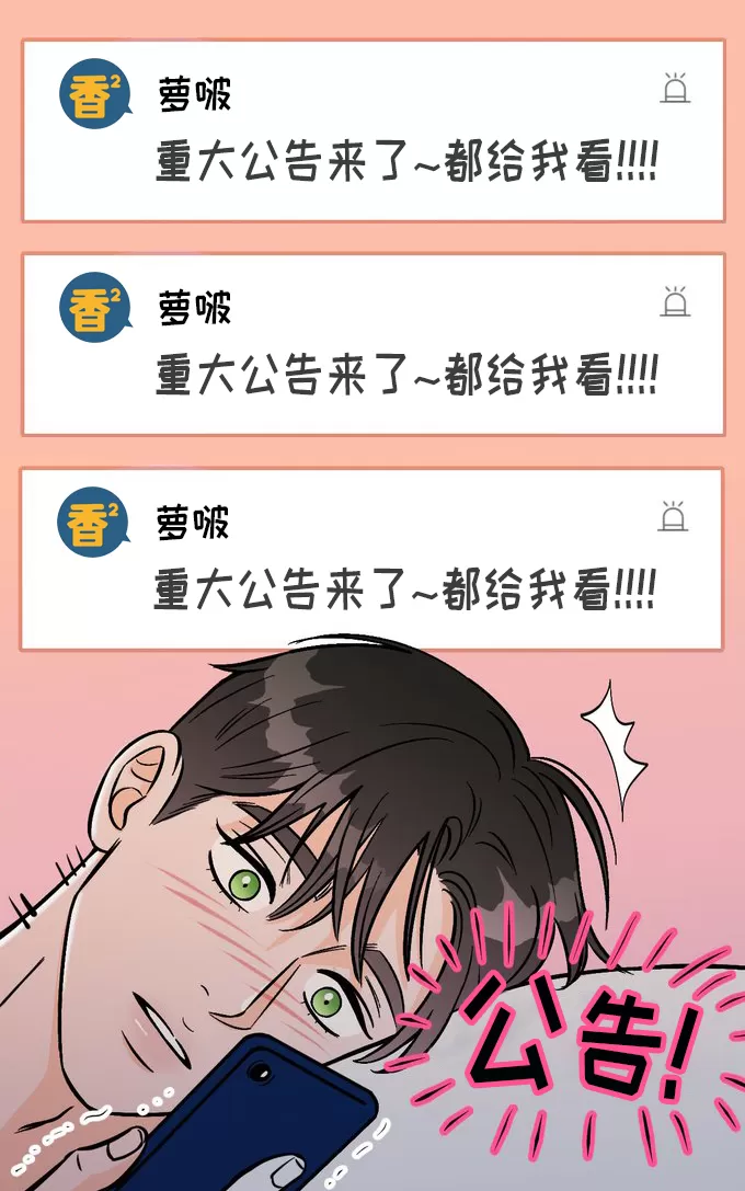 公告区
